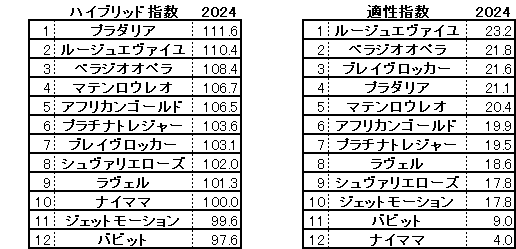 2024　京都記念　HB指数